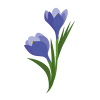 desenho de elemento de flor em estilo simples png