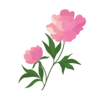 flower element cartoon in flat style png