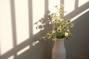 Daisies in a vase are placed beside the wall reflected in the morning light. photo