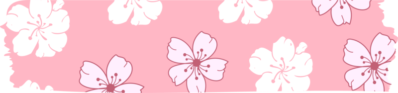 nastro washi con motivo sakura o fiori di ciliegio, illustrazione del design sakura del nastro washi