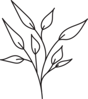 lineart floreale disegnato a mano, illustrazione dell'elemento delle foglie per il design png