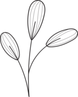 lineart floral desenhado à mão, deixa a ilustração do elemento para o projeto png
