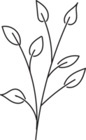 handgetekende bloemen lineart, bladeren element illustratie voor ontwerp png