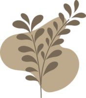 lineart floral dibujado a mano con forma orgánica, ilustración de elementos de hojas para el diseño png
