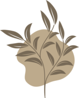lineart floreale disegnato a mano con forma organica, illustrazione dell'elemento delle foglie per il design png