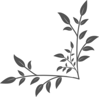 formas de esquina floral, ilustración de marco de borde de hojas png
