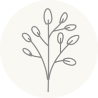 bloemenpictogram met pastelkleur, minimale bloemillustratie png