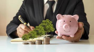 Show your financial development and business growth with a tree growing on a coin and a piggy bank in the hands of a businessman.