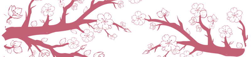 nastro washi con motivo sakura o fiori di ciliegio, illustrazione del design sakura del nastro washi