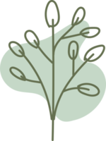lineart floreale disegnato a mano con forma organica, illustrazione dell'elemento delle foglie per il design png