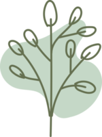 handgetekende bloemenlineart met organische vorm, laat elementillustratie voor ontwerp png