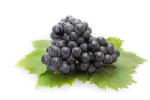 Black grapes bunch isolated on white background with green leaf package design element photo