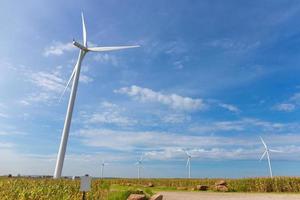 energía ecológica, turbina eólica en la hierba verde y campo de maíz sobre el cielo azul nublado foto