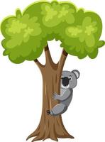 koala trepando a un árbol vector