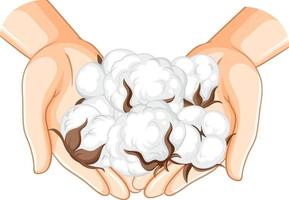 Cotton on human hands vector