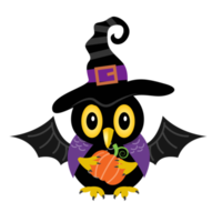 Cute Halloween owl element png