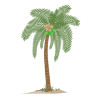coqueiro, ilustração de palmeira png
