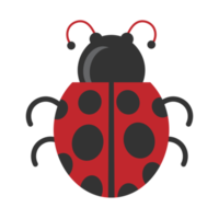 ladybird element icon png