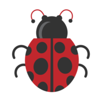 icône de l'élément coccinelle png