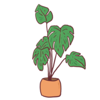 icône de plante en pot png