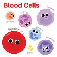 glóbulo en el cuerpo humano. vector