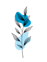 Leaves wall art. Botanical line art with blue abstract shapes. Minimalist style. Natural concept. png