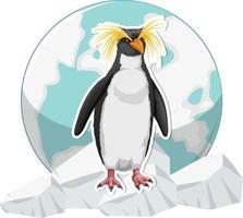 Penguin standing on ice sheet vector