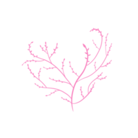 corazón floral rosa png