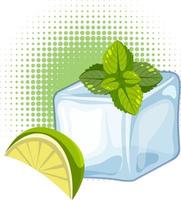 Ice cube with lime sliced and mint leaf vector