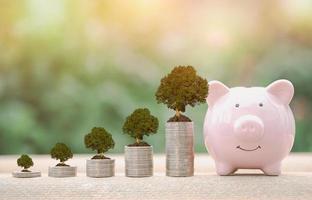 Piggy bank, piles of coins and plants, all on tiles. photo