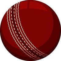 A cricket ball on white background vector