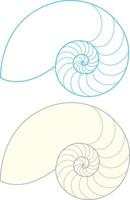 Nautilus shell outline on white background vector