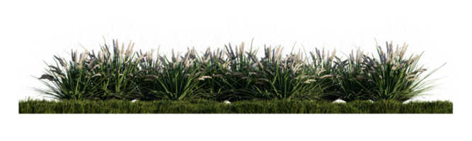 een 3D-weergavebeeld van veel grasbloem op groen grasveld png