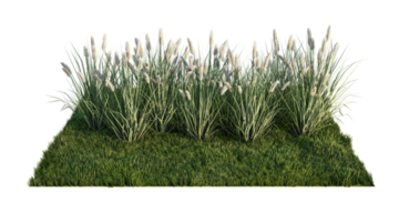 una imagen en 3d de una gran cantidad de flores de hierba en un campo de hierba verde png