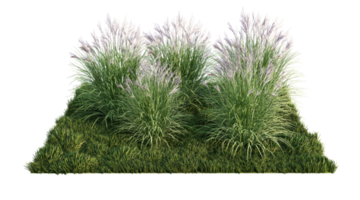 A 3d rendering image of a lot of grass flower on green grass field png