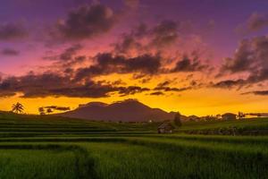 panoramic indonesia view of rice terraces and mountains in the morning the sun is shining bright photo