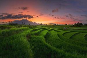 retrato natural de campos de arroz y montañas en la indonesia rural con amanecer foto