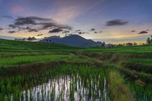 paisaje natural indonesio con campos de arroz en un pequeño pueblo foto