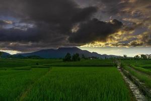 vista panorámica de indonesia de terrazas de arroz verde y montañas en una mañana soleada foto