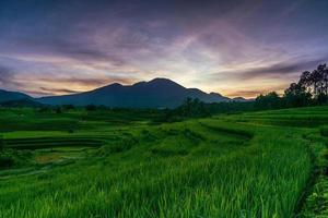 el extraordinario paisaje natural de indonesia. vista matutina con amanecer en los campos de arroz foto