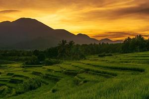 el extraordinario paisaje natural de indonesia. vista del amanecer con la luz del sol saliendo en los campos de arroz foto