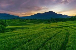 panorama of the natural beauty of asia. rice field view with beautiful sunrise photo