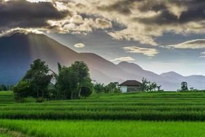 Nature panorama of green rice fields and mountains in Indonesian countryside with sunrise photo