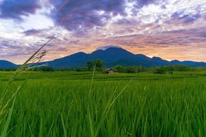 el extraordinario paisaje natural de indonesia. vista matutina con hermoso cielo sobre montañas y campos de arroz foto