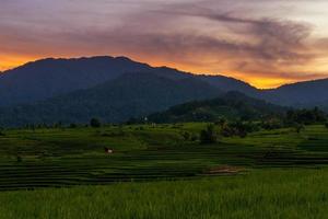 el extraordinario paisaje natural de indonesia. vista matutina con amanecer en terrazas de arroz en las montañas foto
