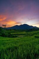 panorama de la belleza natural de asia. hermosa vista de los campos de arroz al amanecer foto