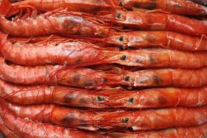 Close up fresh of raw red langoustines , Nephrops norvegicus, Norway lobster, Dublin Bay prawn or scampi. photo