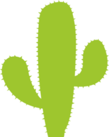 Ilustración de diseño de imágenes prediseñadas de cactus png