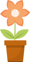 fleur en pot clipart design illustration png