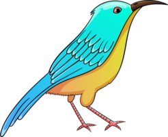 vogels clipart ontwerp illustratie png